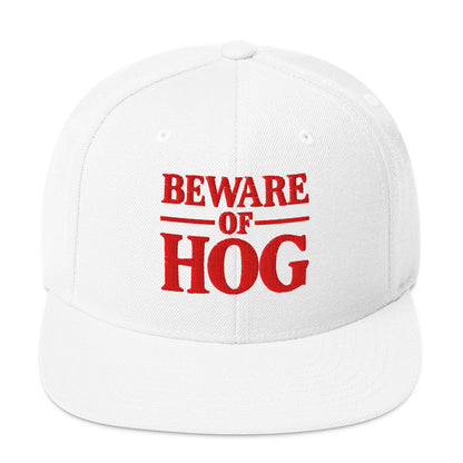 Snapback Hat for Men