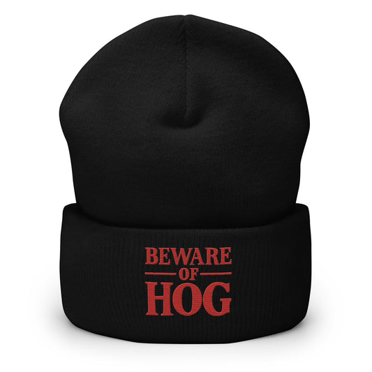 Cuffed Beanie Hat