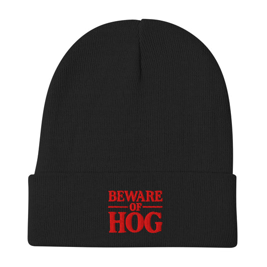 Knit Beanie Hat