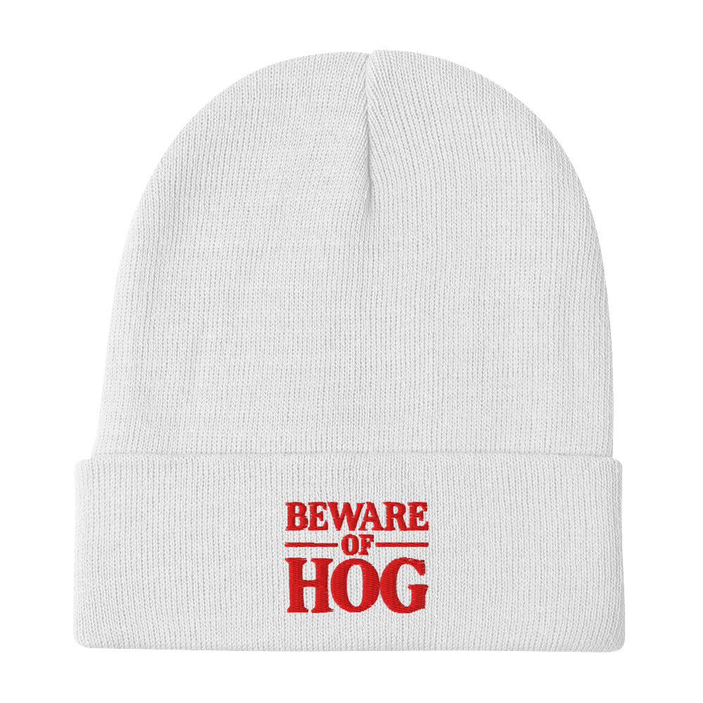 Knit Beanie Hat