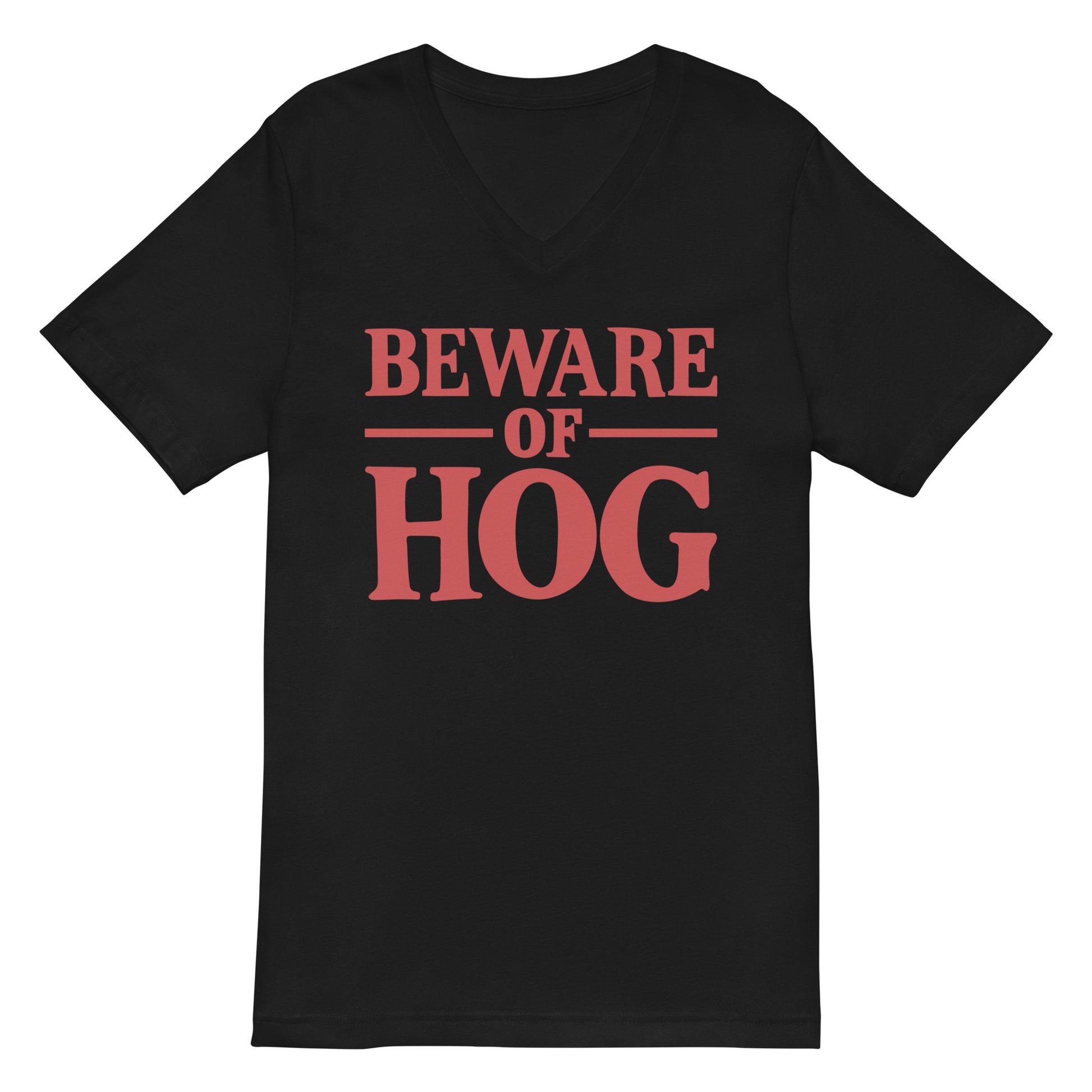 Unisex V-Neck Tee