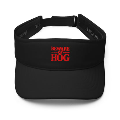 Sun Protection Visor 