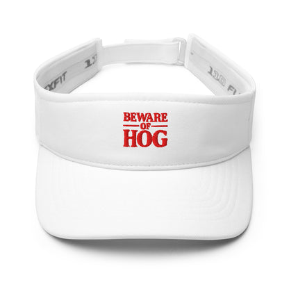 Sun Protection Visor 